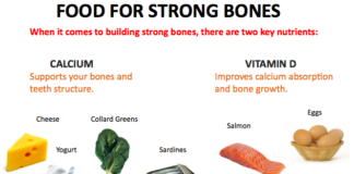 Nutrition has a greater impact on bone mass and strength than exercise