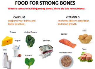 Nutrition has a greater impact on bone mass and strength than exercise
