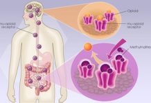 Traditional laxatives are recommended as first-line agents to treat patients with a confirmed diagnosis of opioid-induced constipation (OIC)