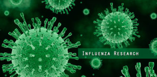 The influenza virus can evolve resistance to an anti-flu drug currently in development for use in pandemics