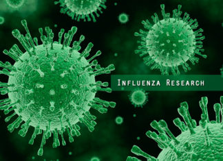 The influenza virus can evolve resistance to an anti-flu drug currently in development for use in pandemics