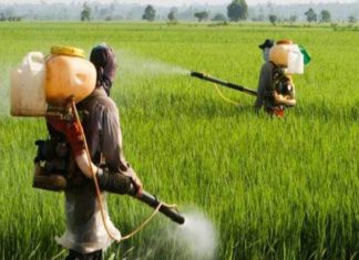A team of researchers in India has developed a topical get that can be used by farmers to prevent nerve damage due to chemical crop spraying