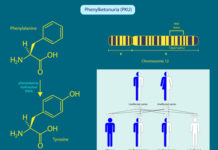 Parents of newborns may be familiar with the metabolic disorder phenylketonuria