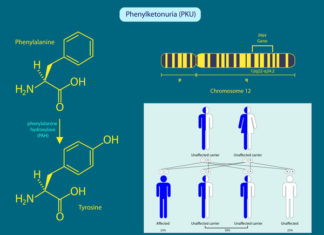 Parents of newborns may be familiar with the metabolic disorder phenylketonuria