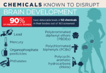 Pregnant mothers’ exposure to phthalates may be linked to delays in language development during early childhood