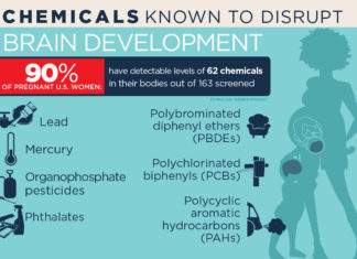 Pregnant mothers’ exposure to phthalates may be linked to delays in language development during early childhood