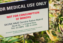 Report : psychiatric illness in adolescent who use Cannabis