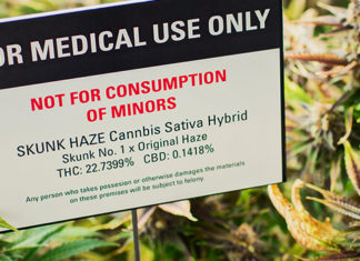 Report : psychiatric illness in adolescent who use Cannabis