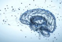 Reading is a team-lift as different brain parts work together to predict proficiency