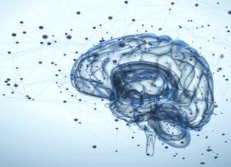 Reading is a team-lift as different brain parts work together to predict proficiency