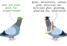 Schadenfreude, the sense of pleasure people derive from the misfortune of others