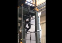 Snake-robot for disaster sites climbs by coiling