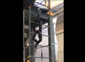 Snake-robot for disaster sites climbs by coiling