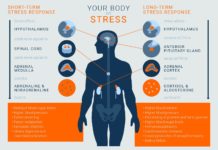 Chronic stress is a well-known risk factor for the development of psychiatric illnesses including depression disorders