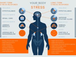 Chronic stress is a well-known risk factor for the development of psychiatric illnesses including depression disorders