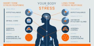 Chronic stress is a well-known risk factor for the development of psychiatric illnesses including depression disorders