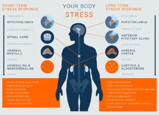 Chronic stress is a well-known risk factor for the development of psychiatric illnesses including depression disorders
