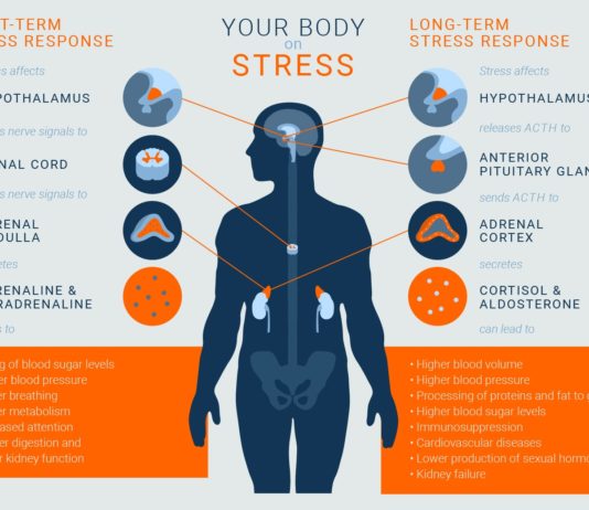 Chronic stress is a well-known risk factor for the development of psychiatric illnesses including depression disorders