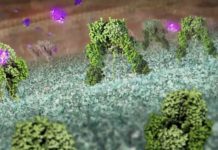 study reveals the first definitive 3-D image of how insulin successfully interacts with its receptor