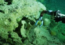 Submarines now have soft robotic arms – developed a range of soft robotic grippers to more safely handle delicate sea life