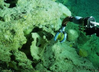 Submarines now have soft robotic arms – developed a range of soft robotic grippers to more safely handle delicate sea life