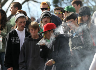 Young adults with exposure to THC during adolescence have alterations in the structure of neurons and psychosis risk