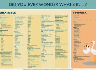 Infant formula is designed to mimic human breast milk not only in nutrients but also by nurturing a similar set of microbes in the digestive tract