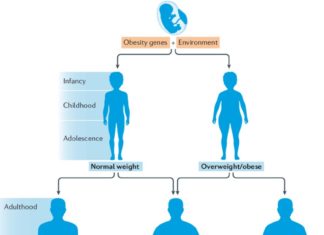 American : Only 12 percent of adults are metabolically healthy