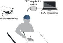An international team of researchers has developed a new method to assess the intelligence and personality by analyzing neurophysiological data of the human brain