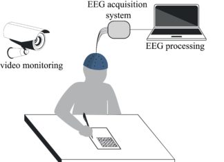 An international team of researchers has developed a new method to assess the intelligence and personality by analyzing neurophysiological data of the human brain