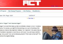 CATCH-IT : Online program helps prevent teen depression