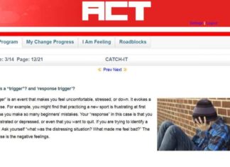 CATCH-IT : Online program helps prevent teen depression