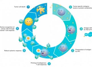 Cell-based immunotherapies have delivered some dramatic results to cancer patients with few other options
