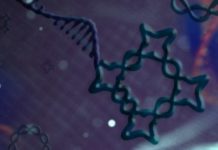 DNA origami