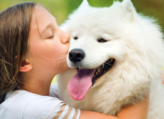 Growing up with dogs is linked to a lower risk of asthma