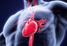 During a heart attack the hypoxia causes impairing cell function and leading to heart failure