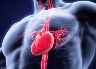 During a heart attack the hypoxia causes impairing cell function and leading to heart failure