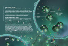 Exosomes could be used to transfer inhaled packets of therapeutics to cells along the upper airway