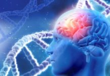 Heritability of life span is well below past estimates