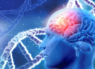 Heritability of life span is well below past estimates