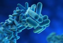 Researchers reveals a highly effective and specific way to turn off an immune response