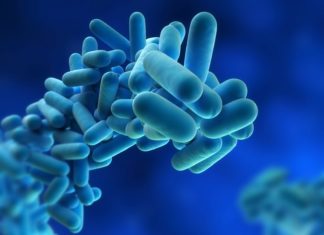 Researchers reveals a highly effective and specific way to turn off an immune response