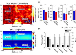 Researchers developed an electroencephalogram test to measure pain objectively