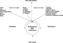Researchers discovered that there is a positive feedback loop between expectation and pain