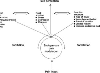 Researchers discovered that there is a positive feedback loop between expectation and pain