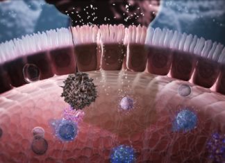 Researchers found that genetic mutations of HIV genome, make it possible to trigger the immune system of elite controllers