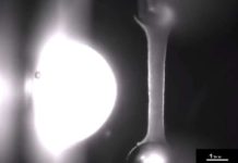 Researchers have developed a way to grow human heart tissue