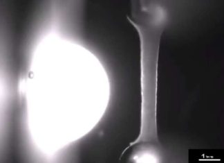 Researchers have developed a way to grow human heart tissue