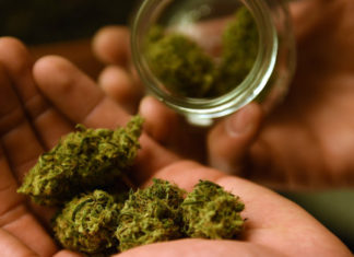 Researchers have seen cognitive changes in the offspring exposed to heavy amounts of cannabis