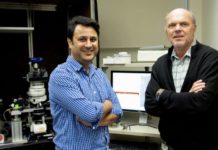 Researchers have solved a 125-year-old mystery of the brain, and uncovered a potential treatment for acquired epilepsy